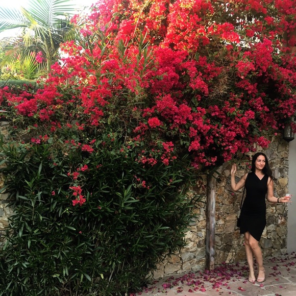 Meet your Posher, Tammy - Picture 1 of 1